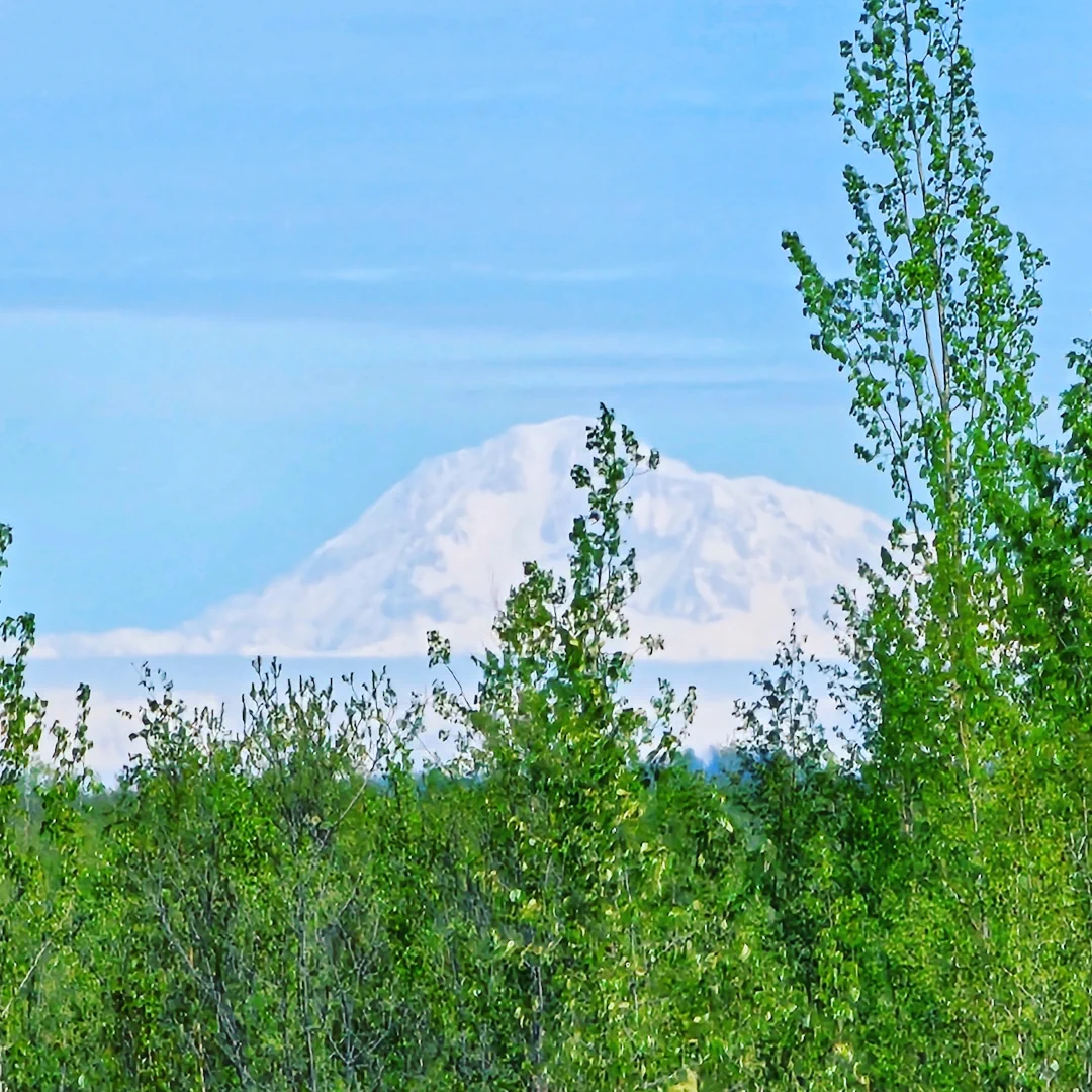Denali from my front yard.