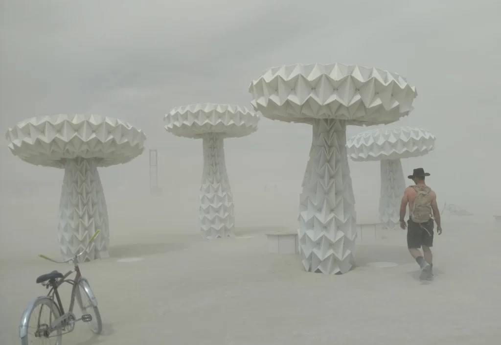 Chad Reilly with the mushrooms at Burning Man 2016. This was the beginning of a whole new life.