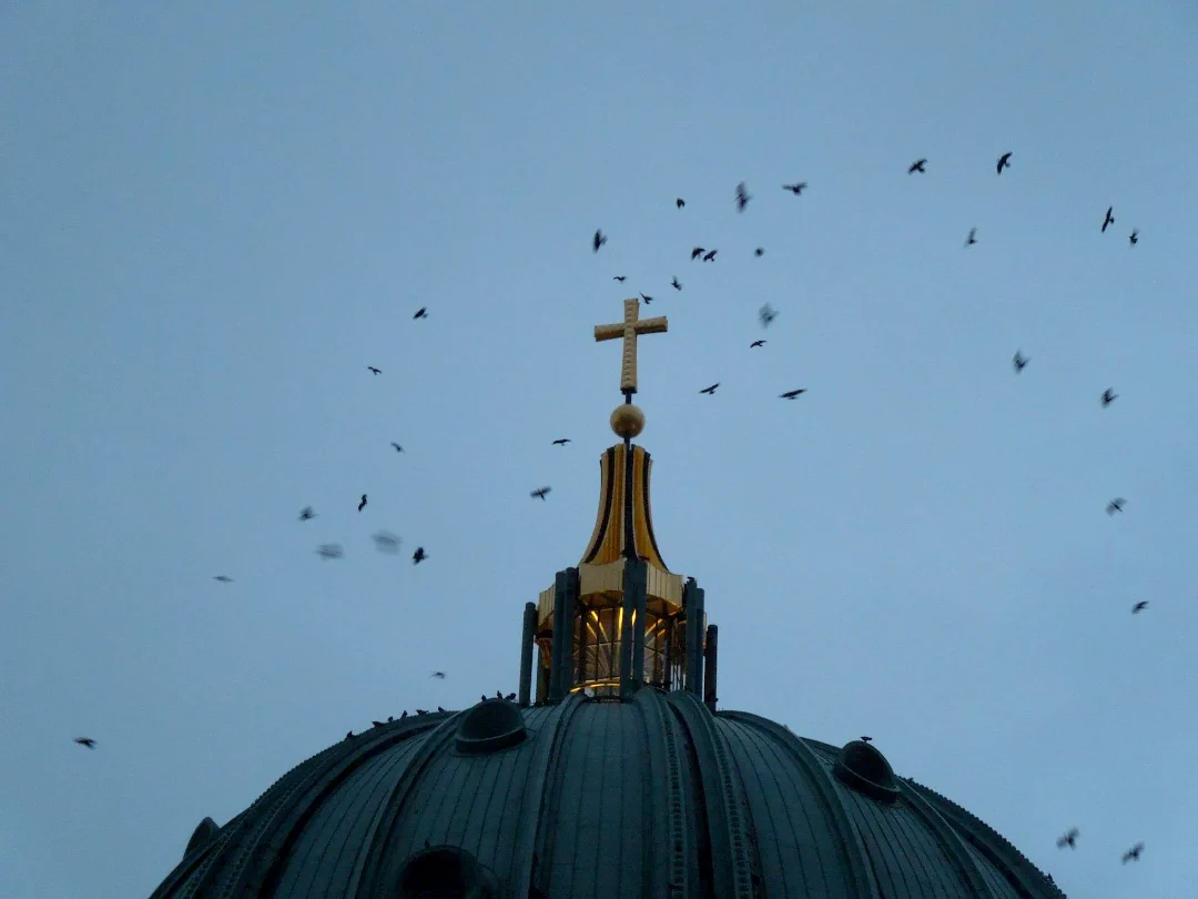 Berlin Cathedral birds.