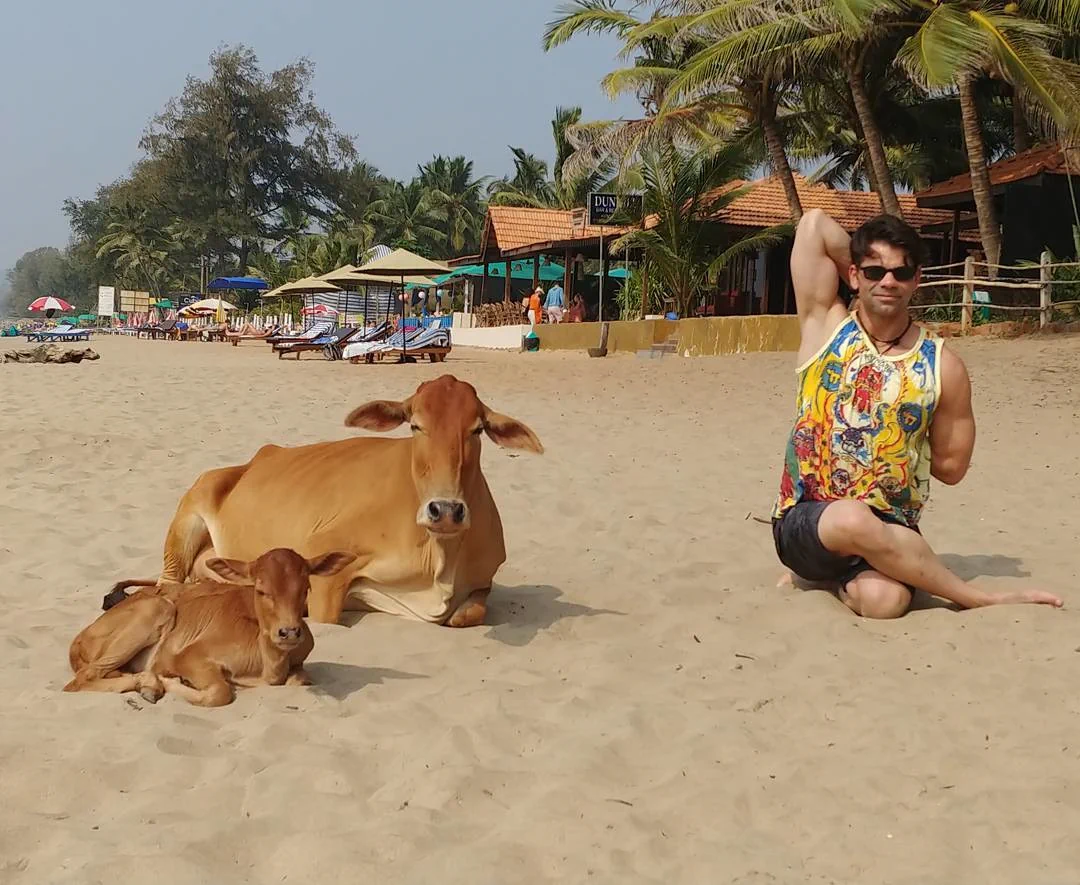 Chad Reilly, cow face pose.