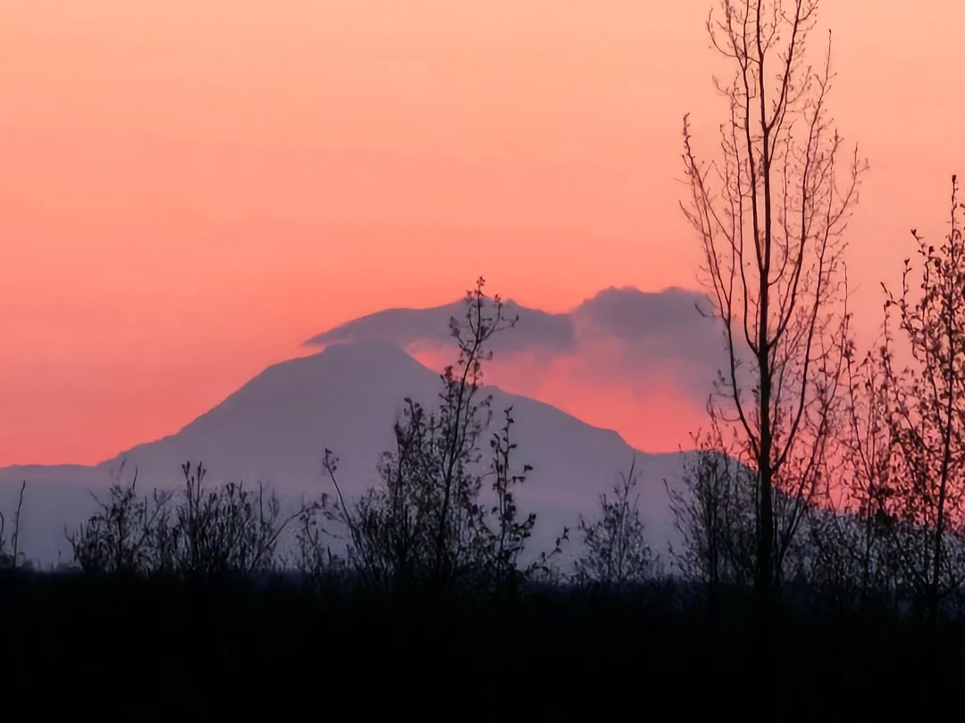 Denali sunset.