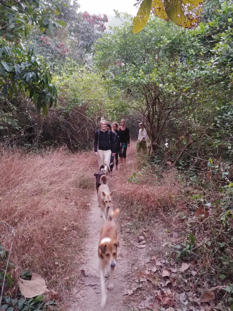 Looking back on the trail.